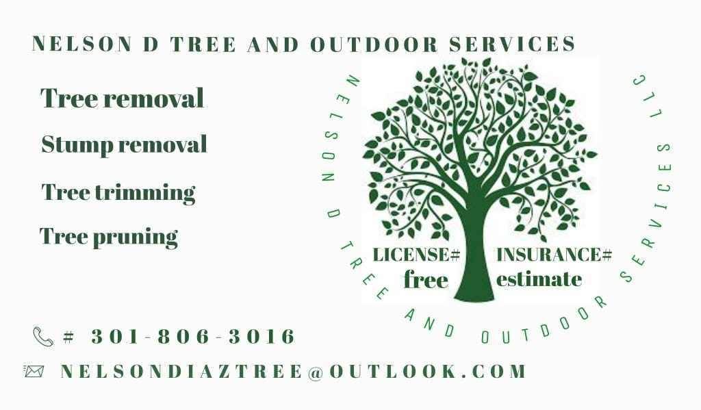 Tree Service Catonsville